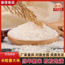【一件代发】长粒香大米10斤真空袋包邮接电商合作品质保证