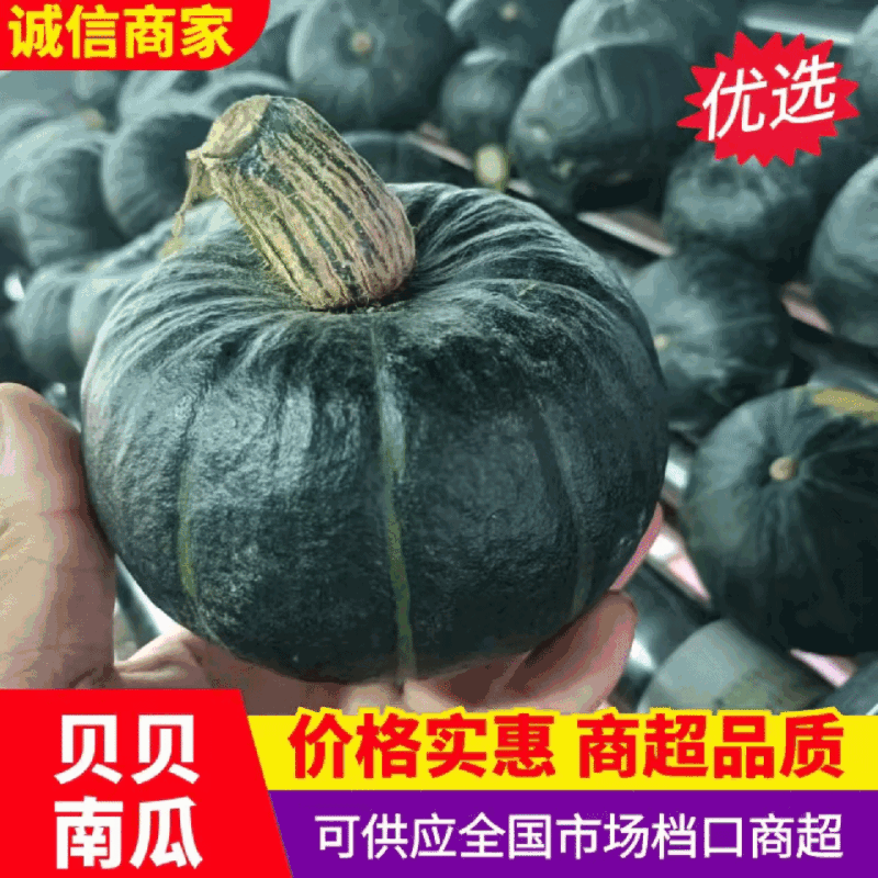 昌乐贝贝南瓜口感软糯香甜表皮干净原包机洗都有果形端正