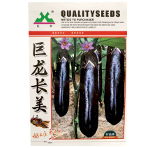 巨龙长美露地茄子种子中早熟紫黑长棒茄紫萼绿肉长茄