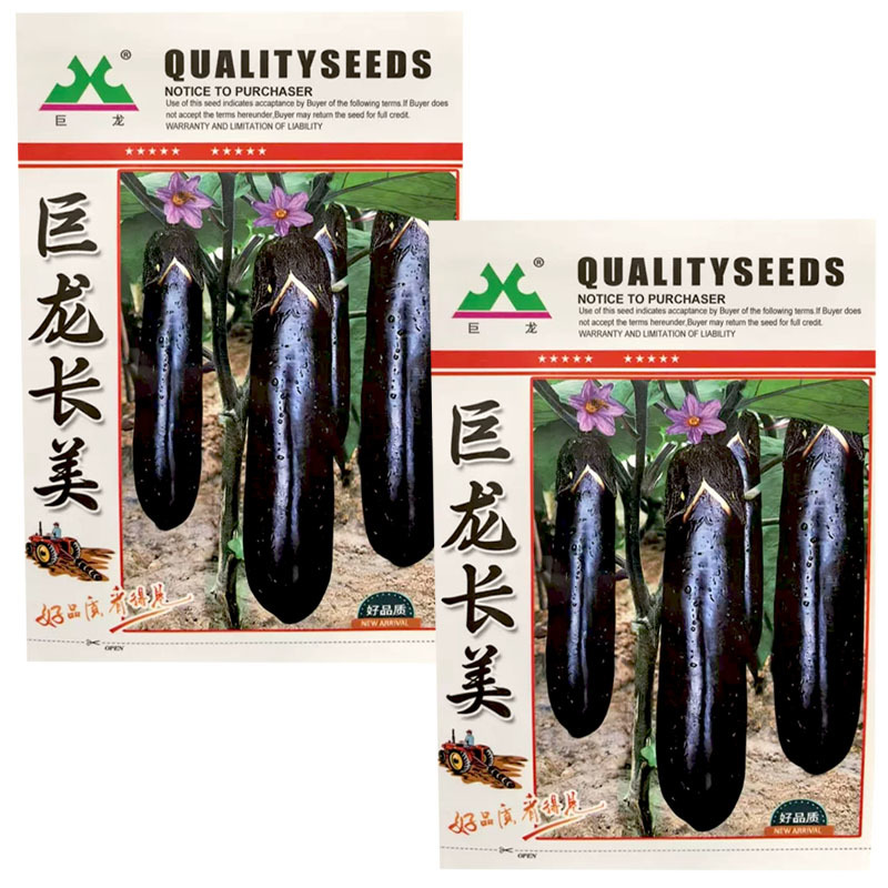 巨龙长美露地茄子种子中早熟紫黑长棒茄紫萼绿肉长茄