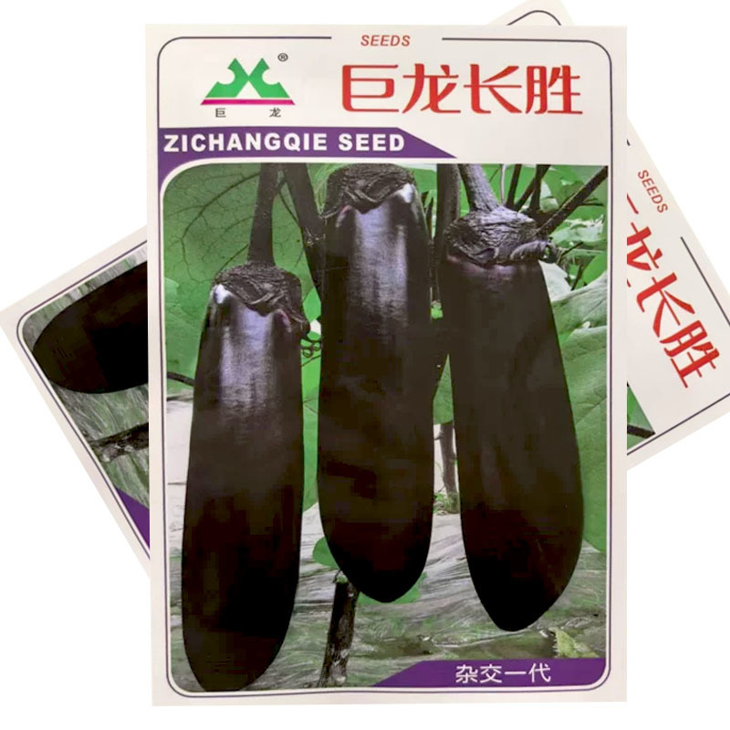 巨龙长胜茄子种子中早熟紫萼果实长棒籽少肉质细腻