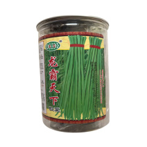 龙霸天下豇豆种子翠绿结英多无鼓籽早中熟豆角种子