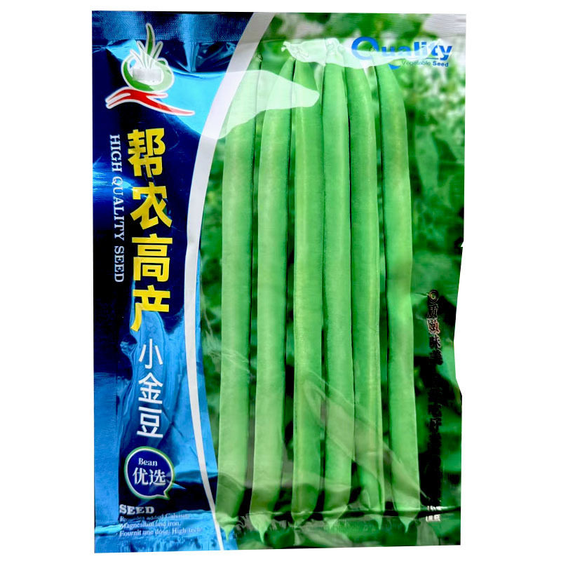 小金豆种子高产芸豆四季豆种子200g早熟扁圆形食糯性好