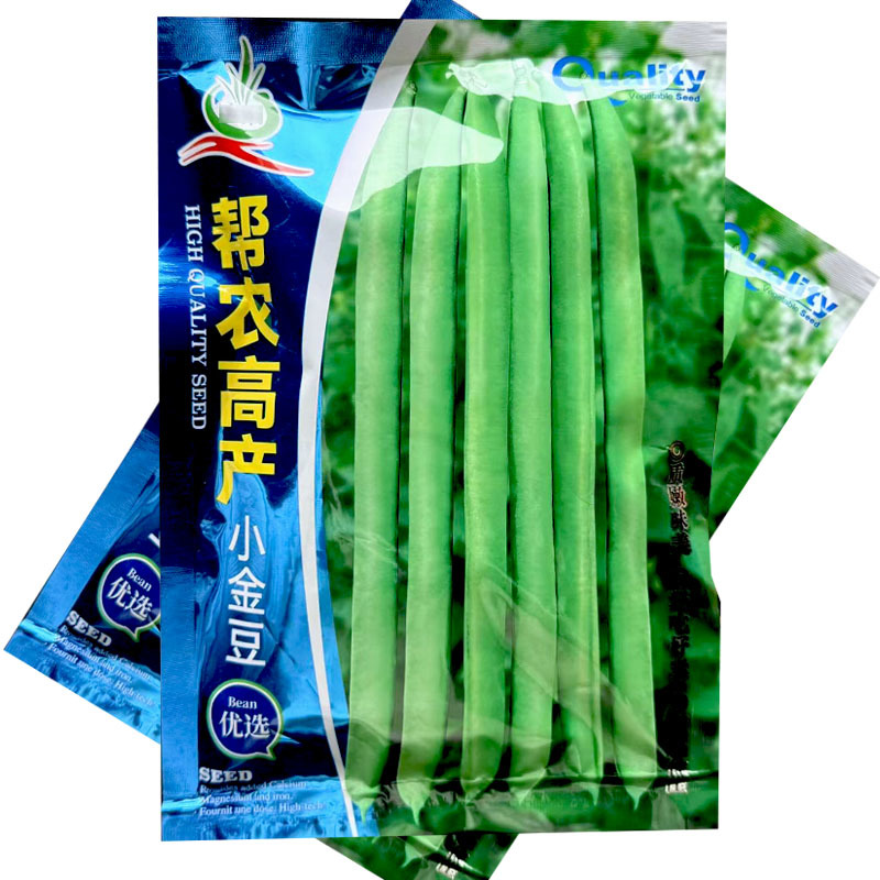 小金豆种子高产芸豆四季豆种子200g早熟扁圆形食糯性好