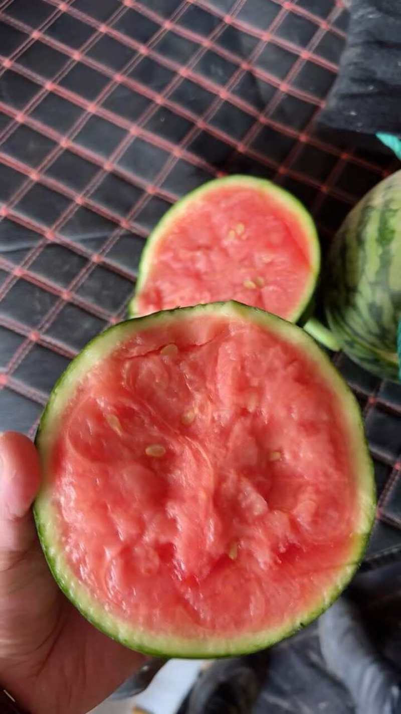 安徽西瓜精品早春红玉产地直发包熟包甜可视频看货