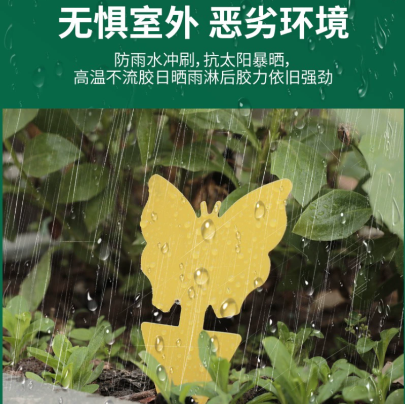 黄板双面强力粘虫板物理粘虫家用诱虫果园茶山插杆蓟马果蝇诱