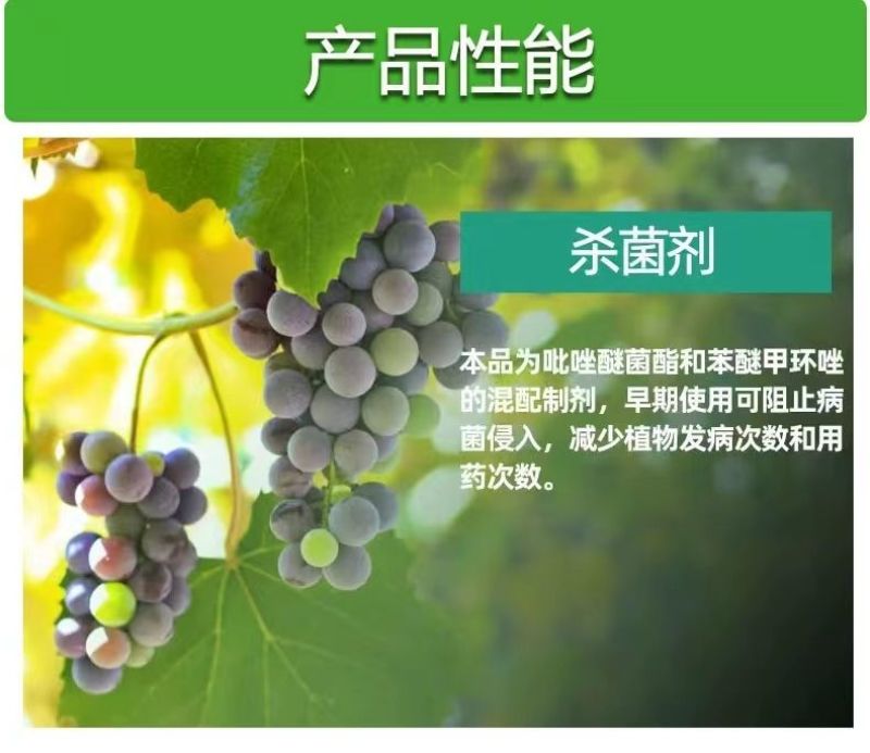 健丰32%苯甲吡唑酯杀菌剂炭疽病白粉病叶斑病果树月季花卉
