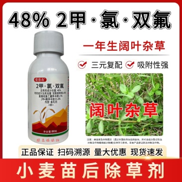 小麦苗后专用除草剂48%2甲氯双氟阔叶杂草播娘蒿烂根灭草