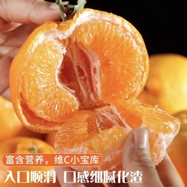 （牛）四川内江耙耙柑（春见柑橘）预售期