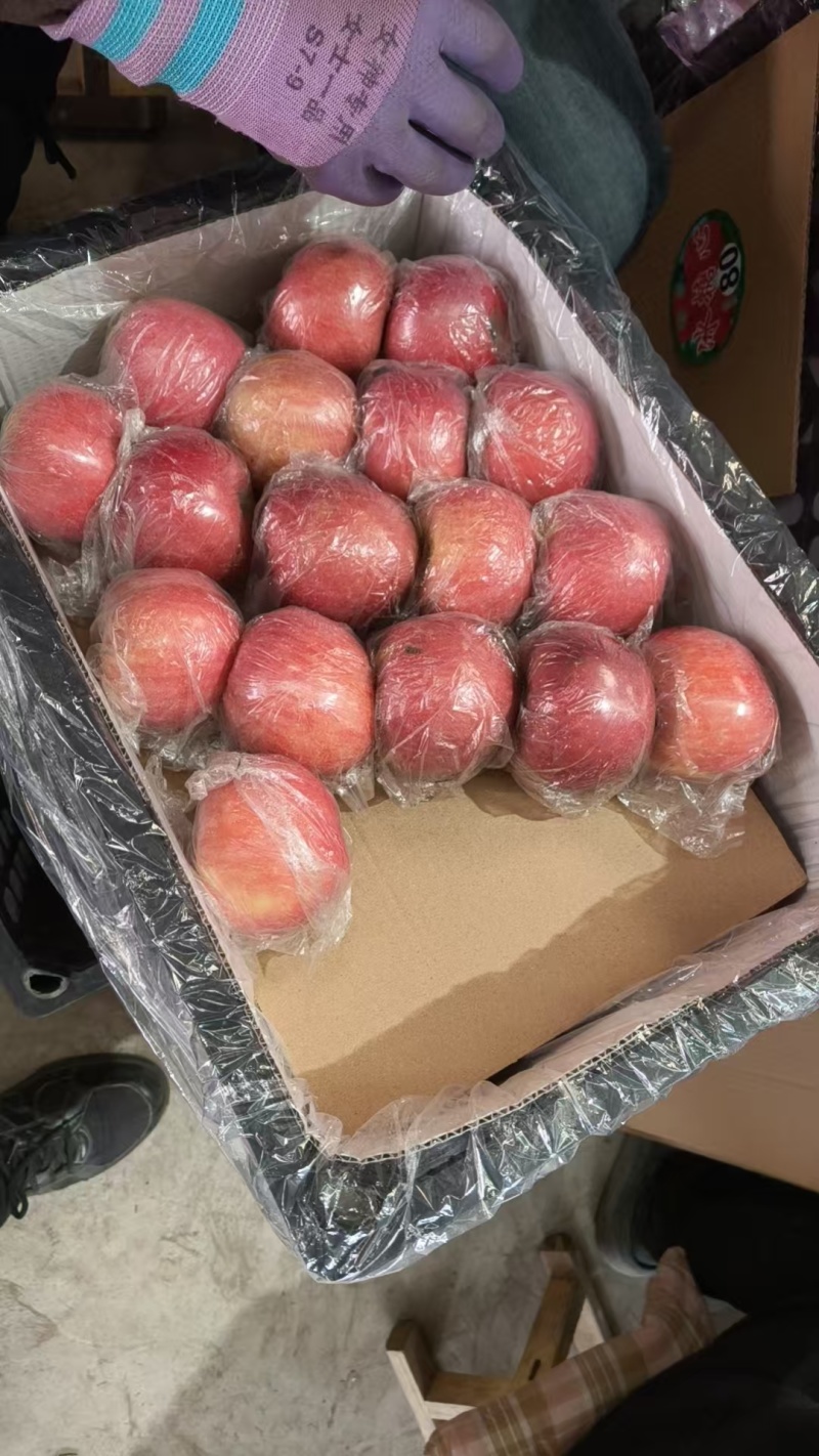 【万荣苹果】山西红富士苹果基地直发支持视频和实地看货