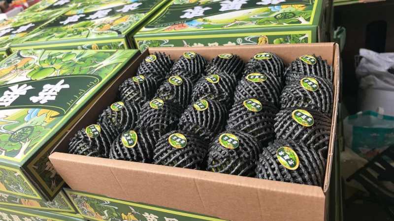 云南苹果枣对接各大平台一件代发专业供货可开专票