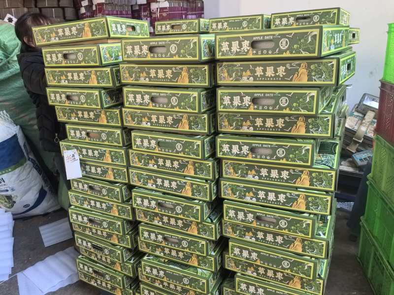 云南苹果枣对接各大平台一件代发专业供货可开专票