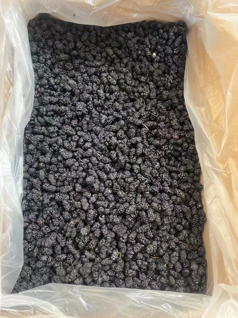 批发新疆黑桑葚干桑葚干桑葚干批发水洗无沙桑葚干批发