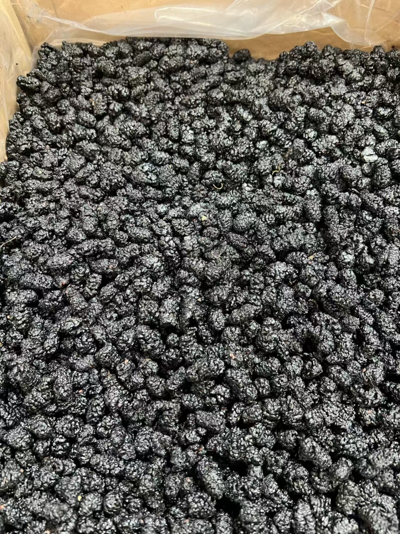 批发新疆黑桑葚干桑葚干桑葚干批发水洗无沙桑葚干批发
