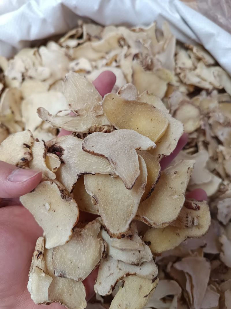白芨批发