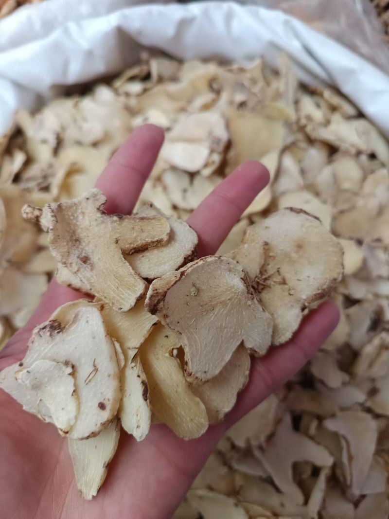 白芨批发