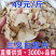 白芨批发