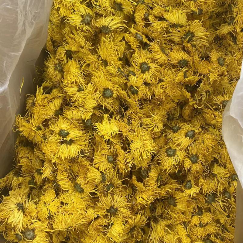 金丝皇菊金丝黄菊云南金丝皇菊花金丝皇菊批发代发
