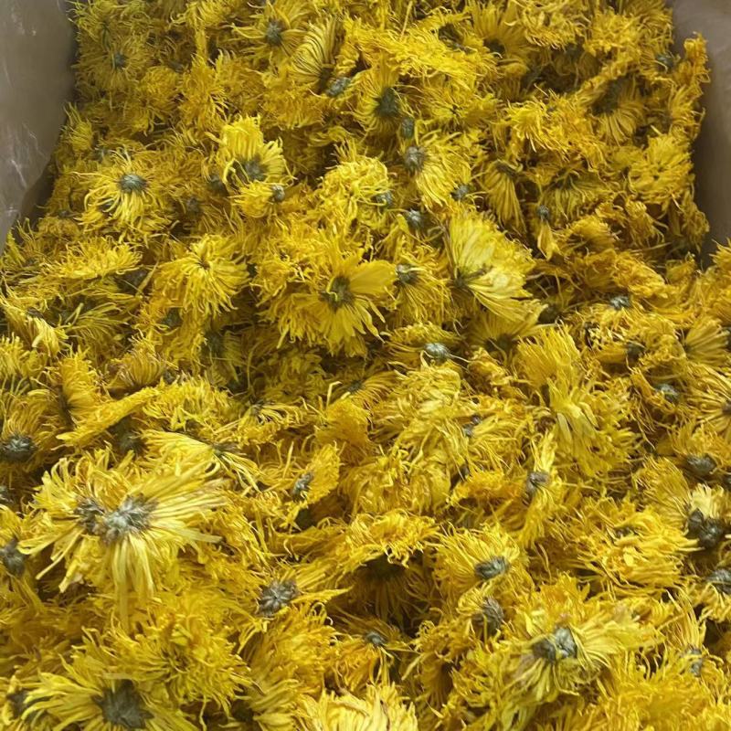 金丝皇菊金丝黄菊云南金丝皇菊花金丝皇菊批发代发