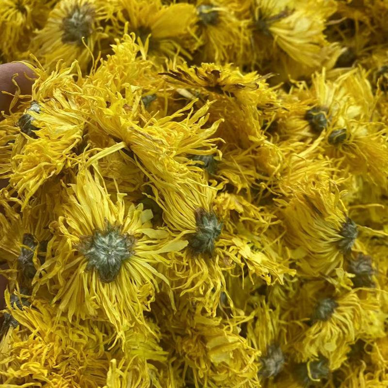 金丝皇菊金丝黄菊云南金丝皇菊花金丝皇菊批发代发