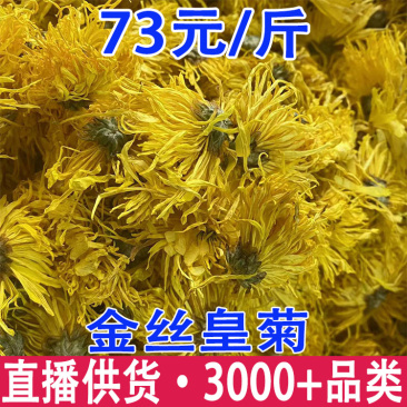 金丝皇菊金丝黄菊云南金丝皇菊花金丝皇菊批发代发