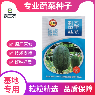 【正源利农】苹果丝瓜种子基地耐热抗氧化耐运输生吃丝瓜种籽