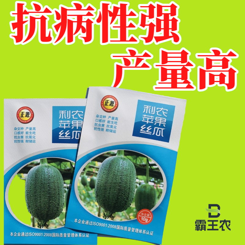 【正源利农】苹果丝瓜种子基地耐热抗氧化耐运输生吃丝瓜种籽