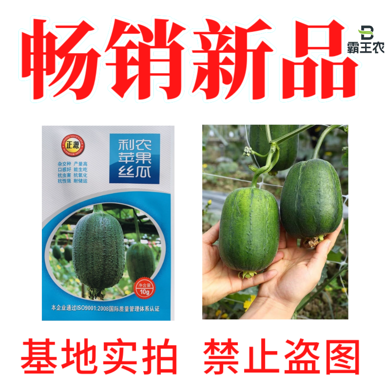 【正源利农】苹果丝瓜种子基地耐热抗氧化耐运输生吃丝瓜种籽