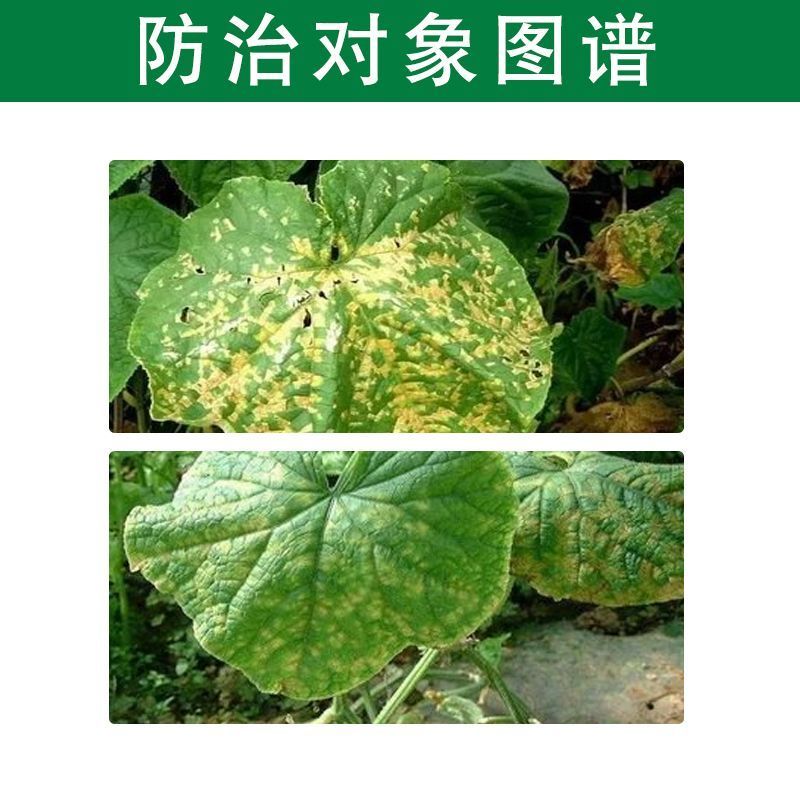春雷喹啉铜果树花卉蔬菜柑橘溃疡穿孔流胶细菌性角斑病杀菌剂