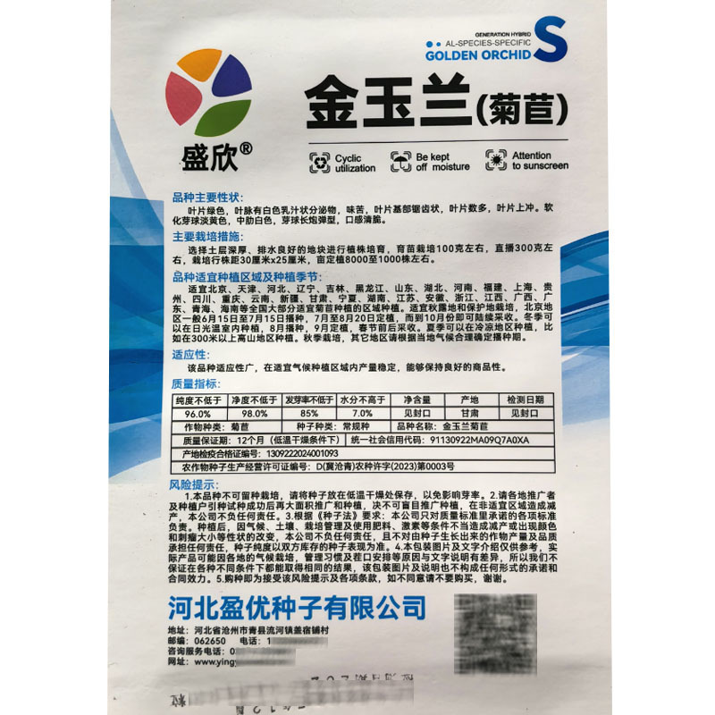 金玉兰菊苣种子软化菊苣籽高产耐阴高产大田种植