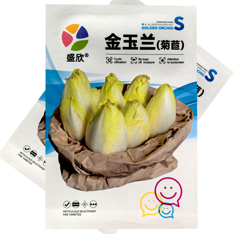 金玉兰菊苣种子软化菊苣籽高产耐阴高产大田种植