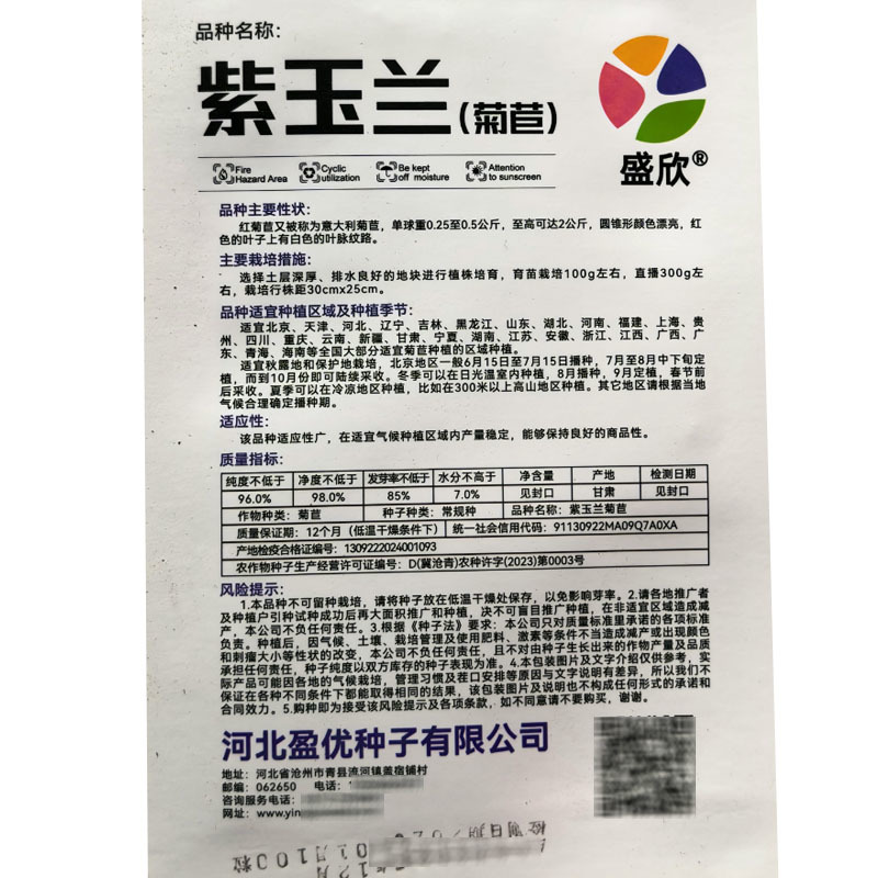紫玉兰菊苣种子红菊苣玉兰菜特菜种子四季盆栽种植
