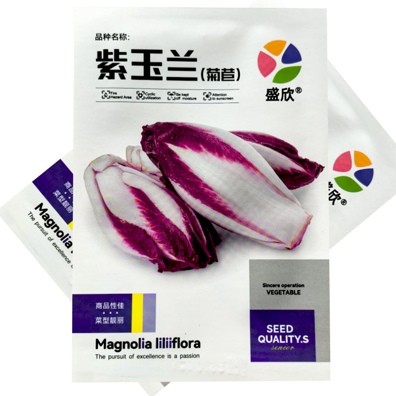 紫玉兰菊苣种子红菊苣玉兰菜特菜种子四季盆栽种植