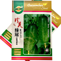 珍美绿冠水果型黄瓜种子节节有瓜耐热节瓜多中早熟