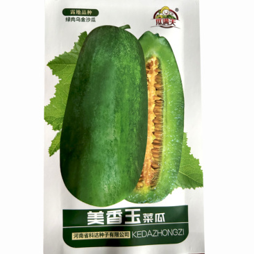 美香玉菜瓜种子绿肉乌金沙瓜种籽中熟果皮淡绿果肉绿清香可口