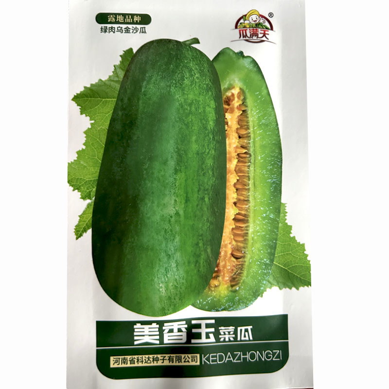 美香玉菜瓜种子绿肉乌金沙瓜种籽中熟果皮淡绿果肉绿清香可口