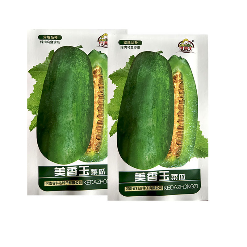 美香玉菜瓜种子绿肉乌金沙瓜种籽中熟果皮淡绿果肉绿清香可口