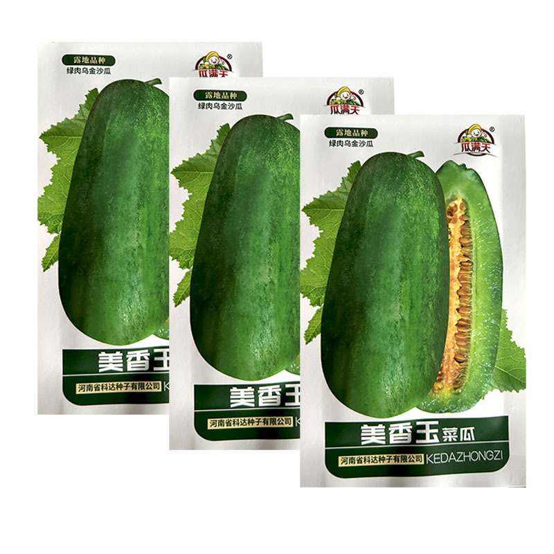 美香玉菜瓜种子绿肉乌金沙瓜种籽中熟果皮淡绿果肉绿清香可口