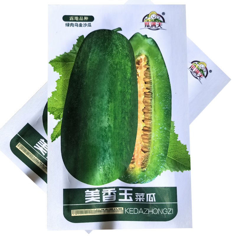 美香玉菜瓜种子绿肉乌金沙瓜种籽中熟果皮淡绿果肉绿清香可口
