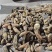 黄泥冬笋四川冬笋产地直发保质保量对接全国量大优惠