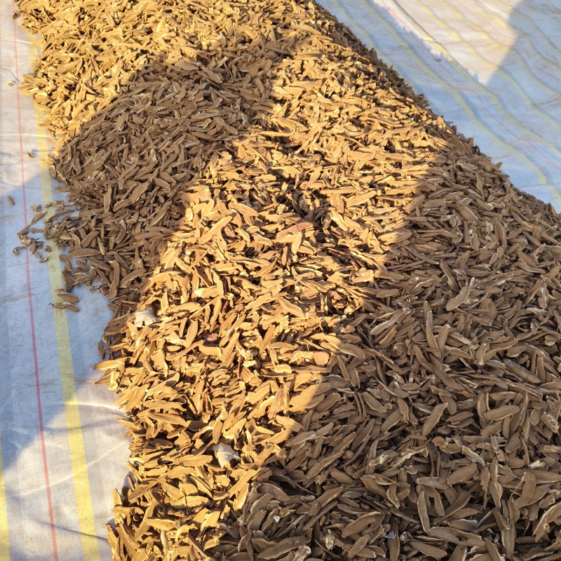 灵芝切片厚薄可定制泡酒煲汤打粉都行按需求加工定制承接电商餐饮