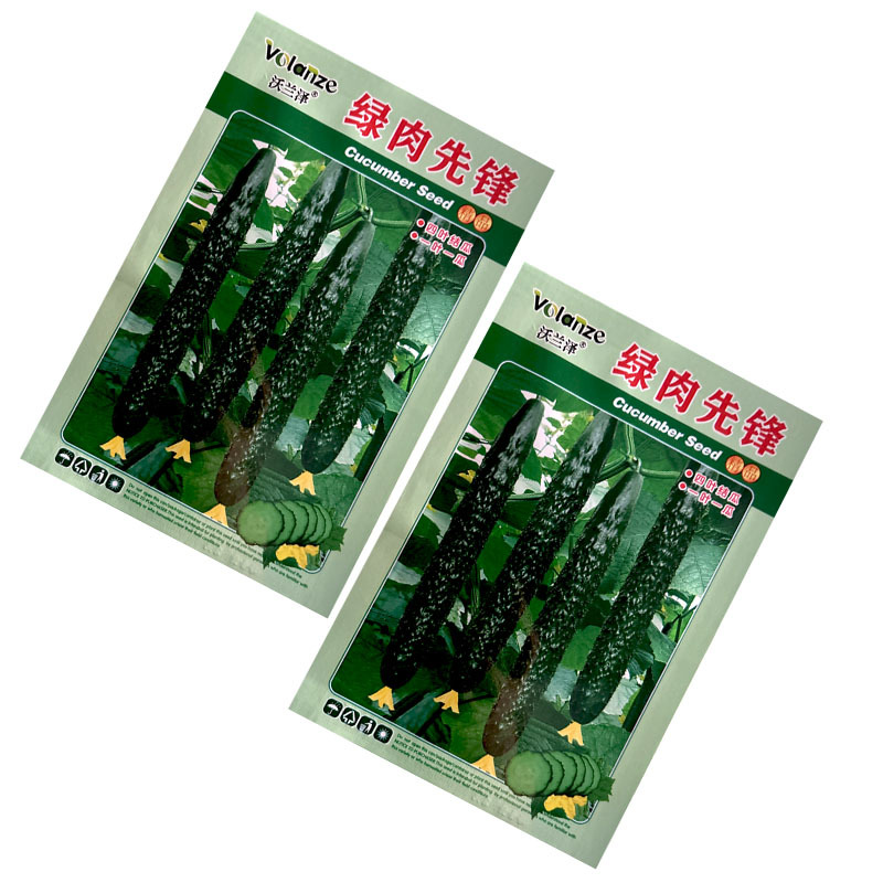 绿肉先锋四季节瓜一叶一瓜绿皮绿肉口感甜脆瓜条顺直