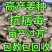 姜种批发/山农一号脱毒原种/欢迎来厂选购上货