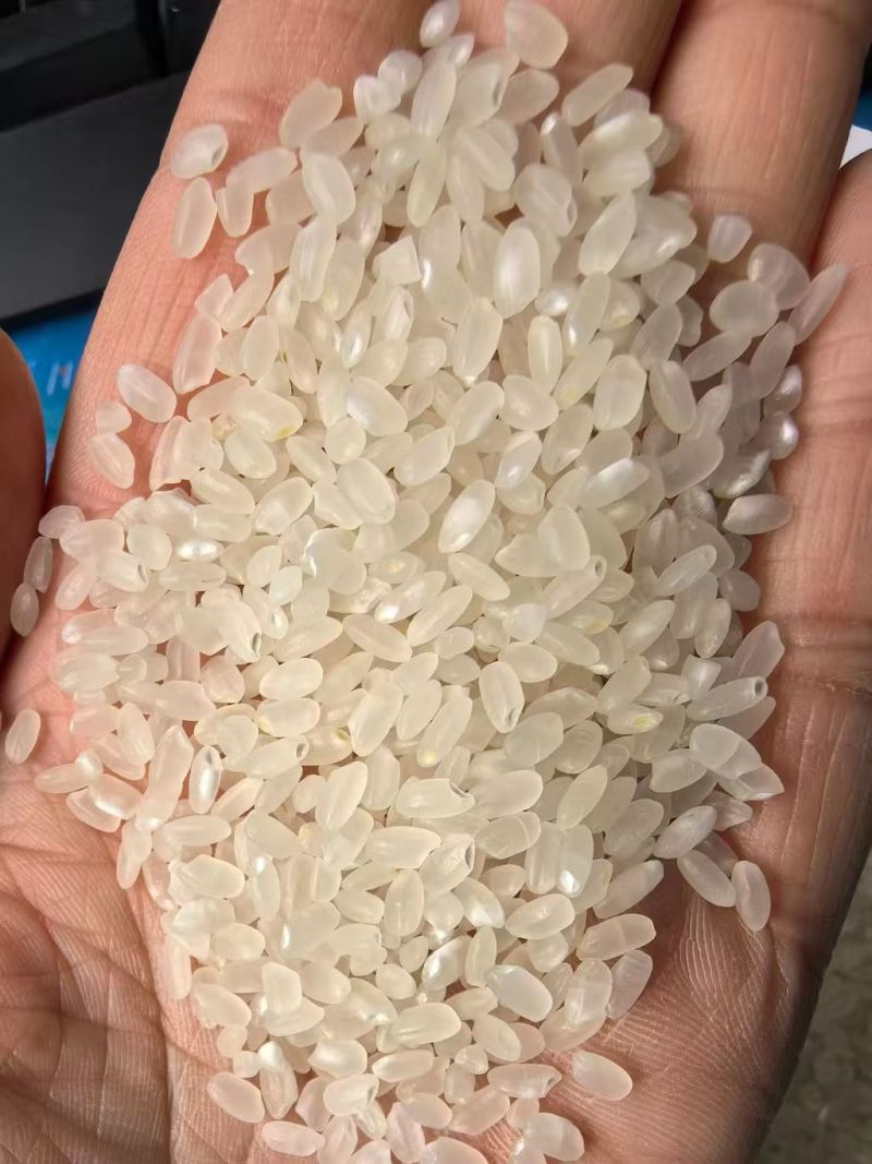 【美晶】生态长粒香米十斤装真空包装产地直发量大价优