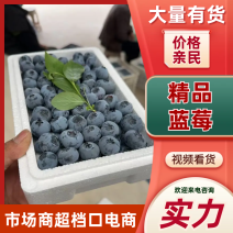 【精选】L25蓝莓山东蓝莓品种齐全甜美多汁对接电商