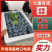 【精选】L25蓝莓山东蓝莓品种齐全甜美多汁对接电商
