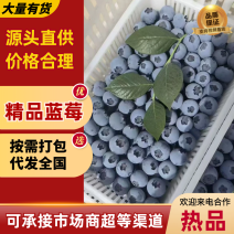 【热卖】F6蓝莓山东莒县蓝莓产地一手货源对接全国