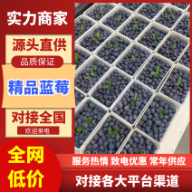 【推荐】L11蓝莓山东莒县蓝莓对接电商平台超市市场等