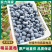 【热卖】L25蓝莓山东蓝莓产地直发品种齐全保质保量