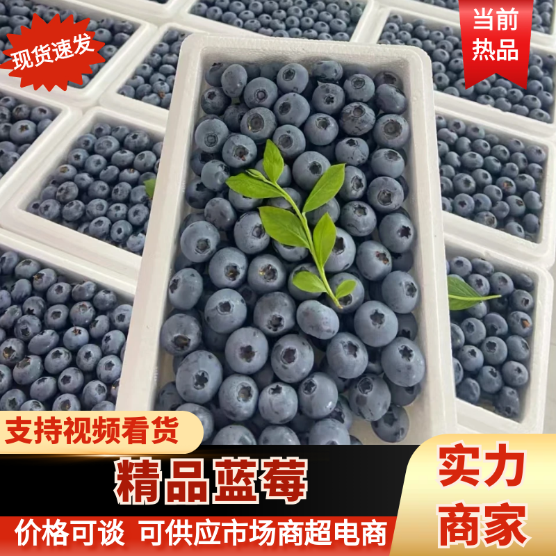 【推荐】F6蓝莓山东莒县蓝莓对接电商平台市场社区团购